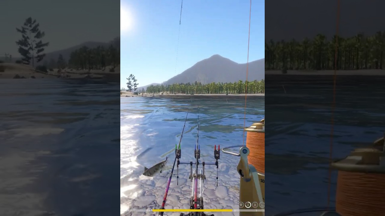 Trophy Shum Salmon 
