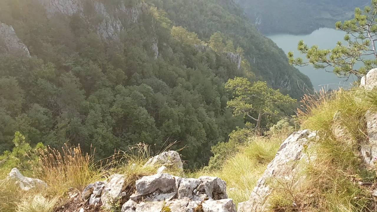 Planina Tara vidikovac Banjska stena
