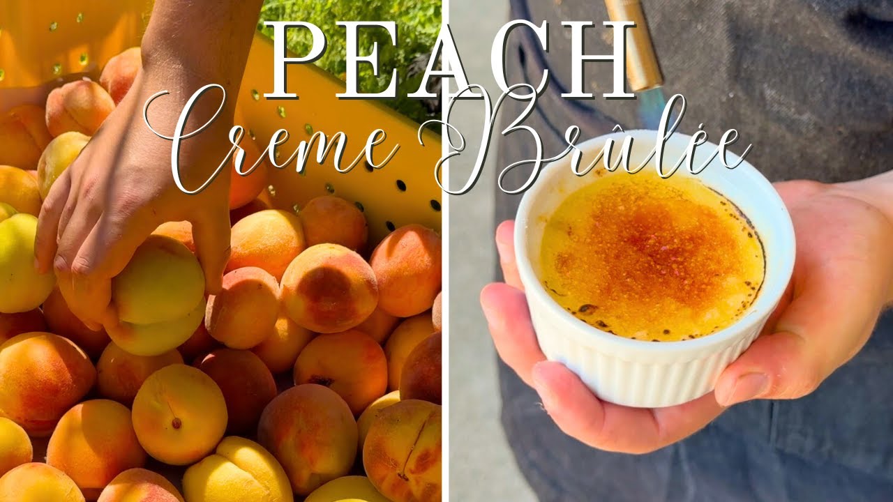 Farm-to-Table Peach Crème Brûlée 🍑 Harvesting Fresh Peaches at Park Winters with Chef Zack