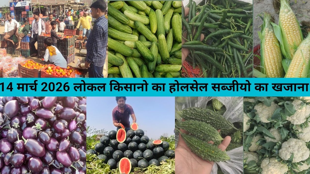 14 मार्च 2026 लोकल किसानो का होलसेल सब्जियों का खजाना न्यू किसान मंडी बक्सर बिहार मे 