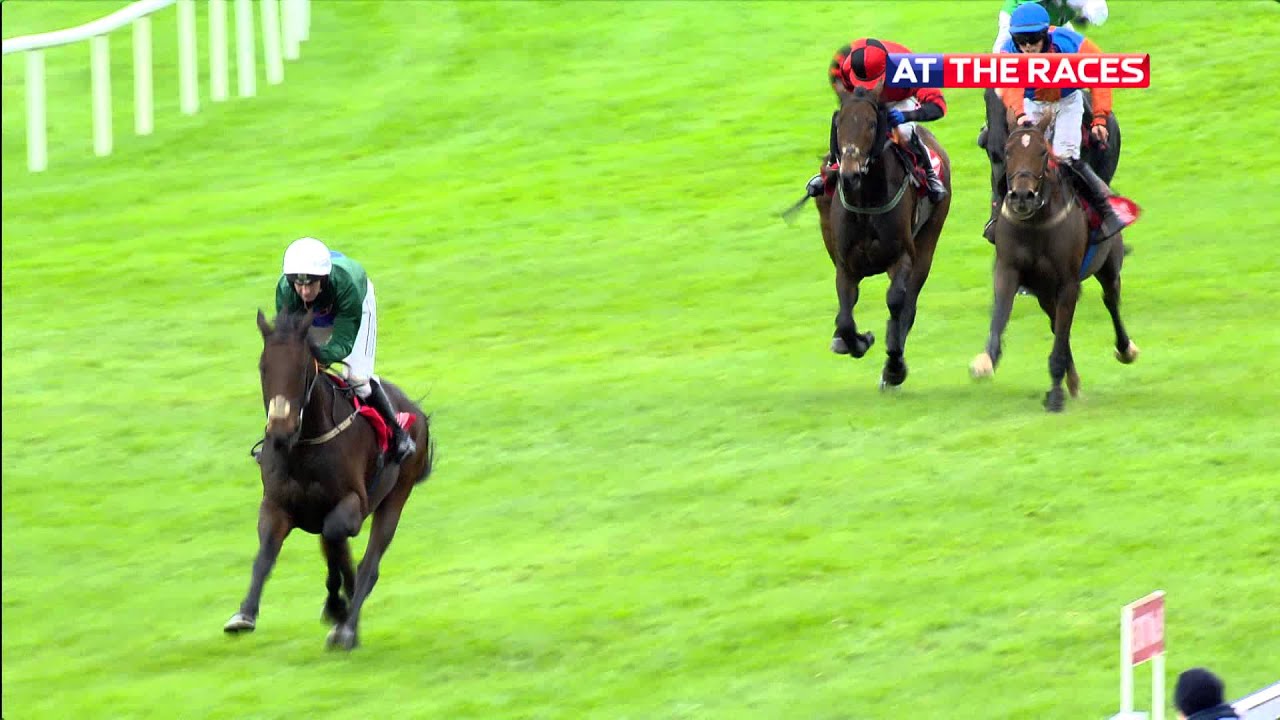 Galway highlights 26th October 2015