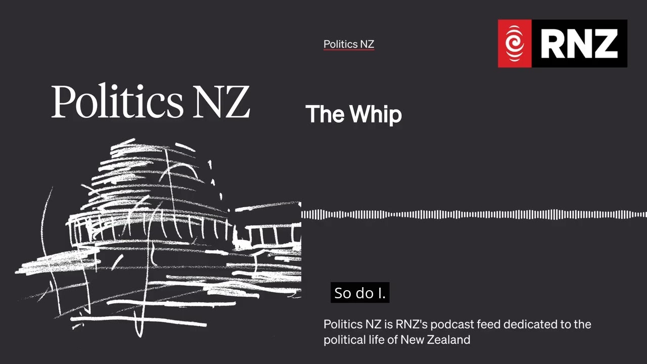 The Whip | Politics NZ