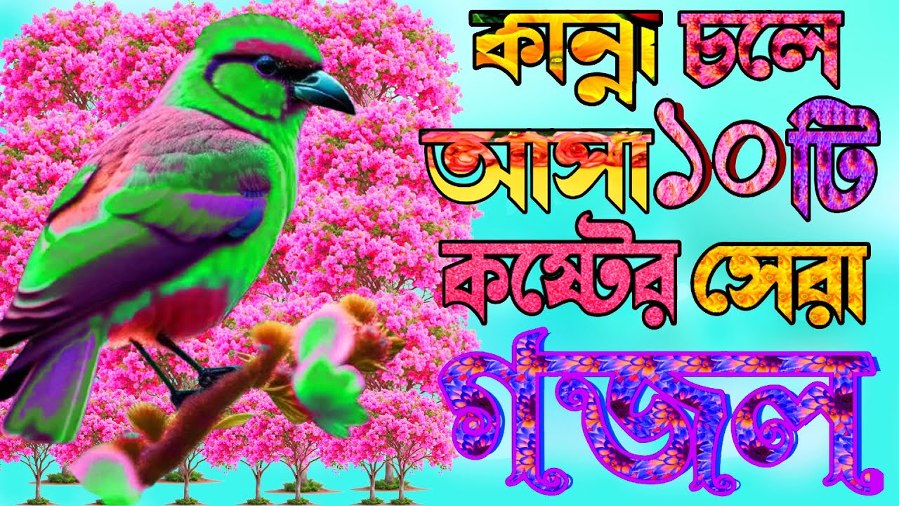 সকলের পছন্দের ১১টি বাইছাই করা গজল,নতুন গজল,Selected Gajal, New Islamic Gazal, Bangla Gojol,Ghazal