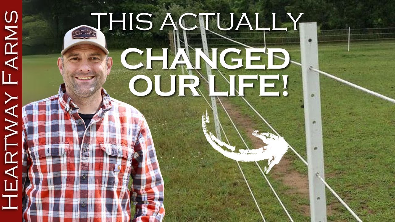 We just fixed the biggest problem with our fence!