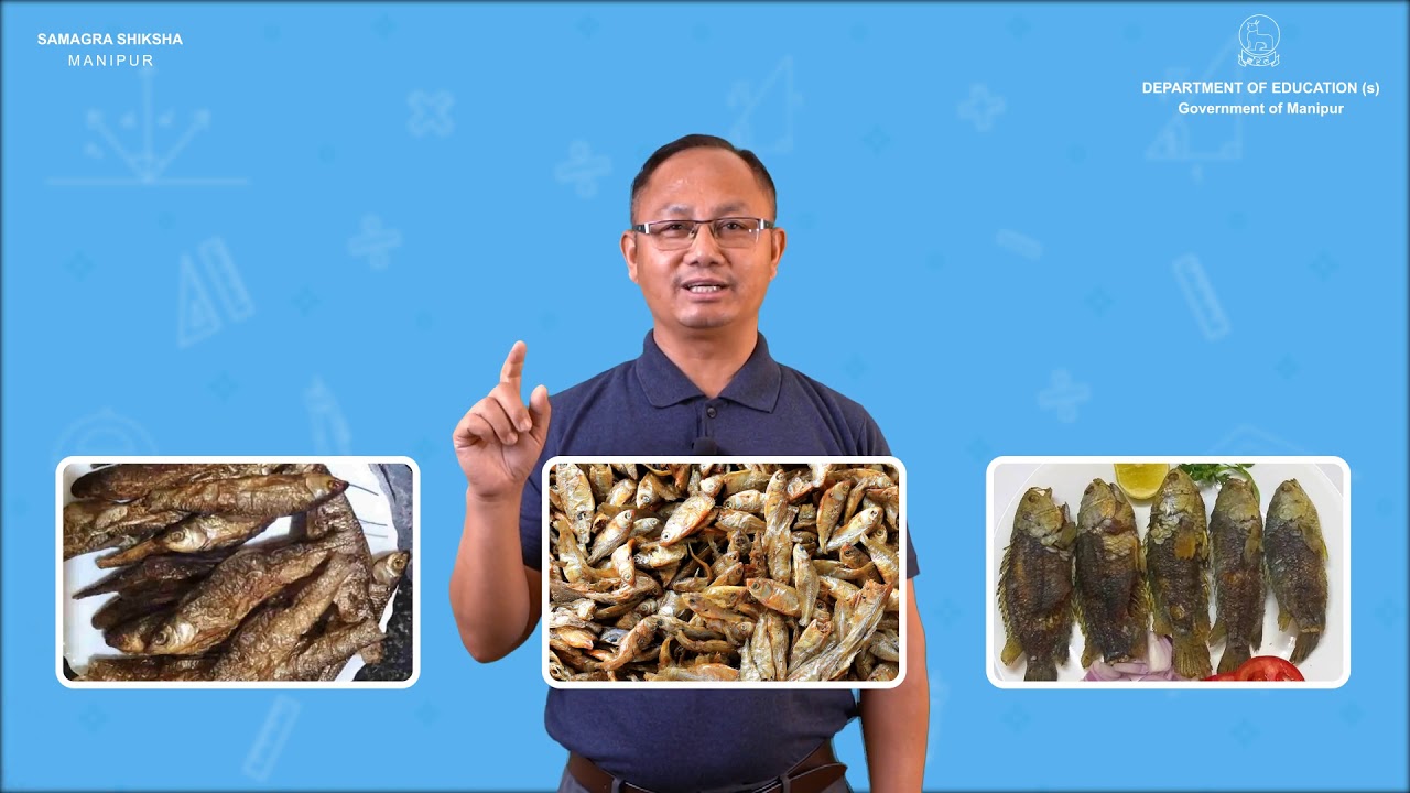 Class V Mathematics Lesson 1: Fish Tale