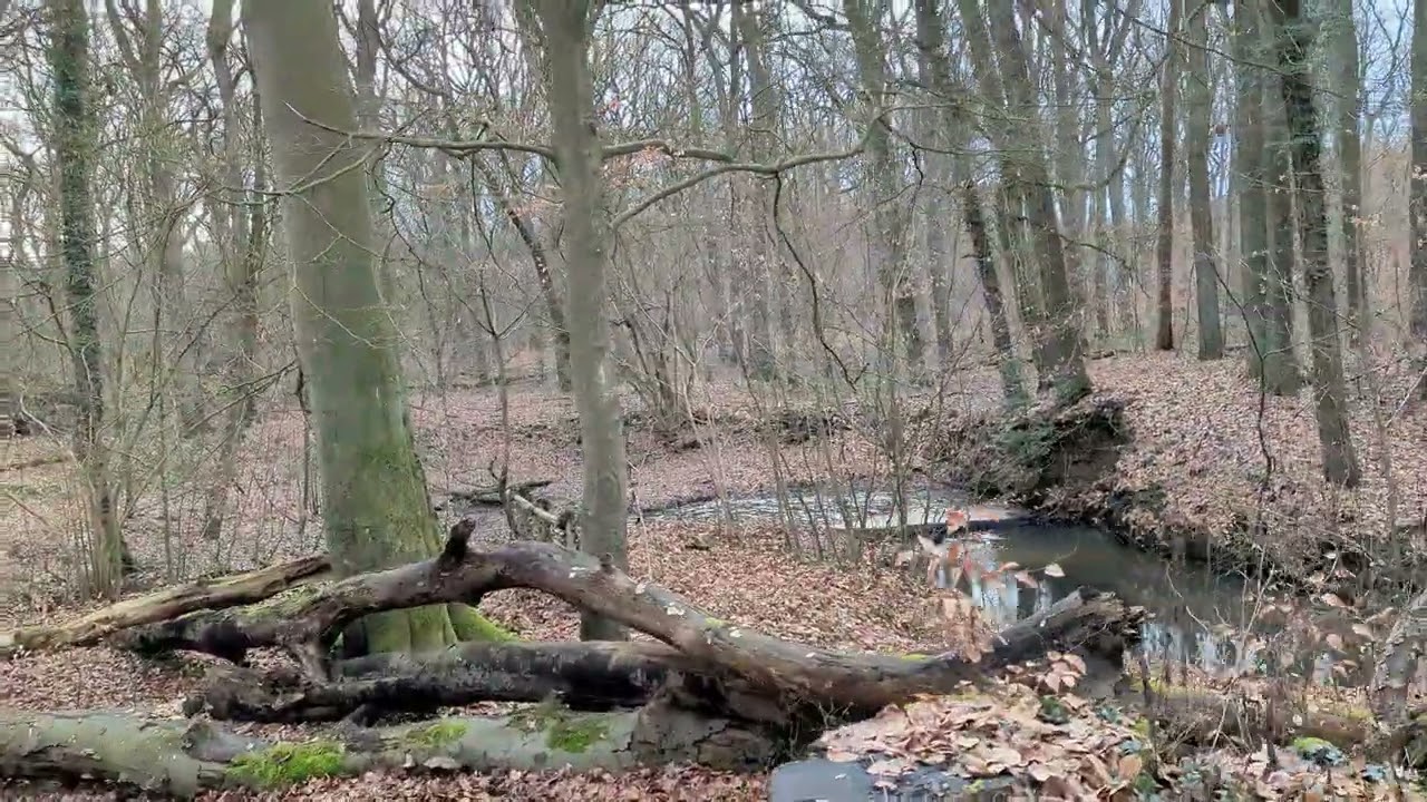 Marl - Naturschutzgebiet Burg Teil 2