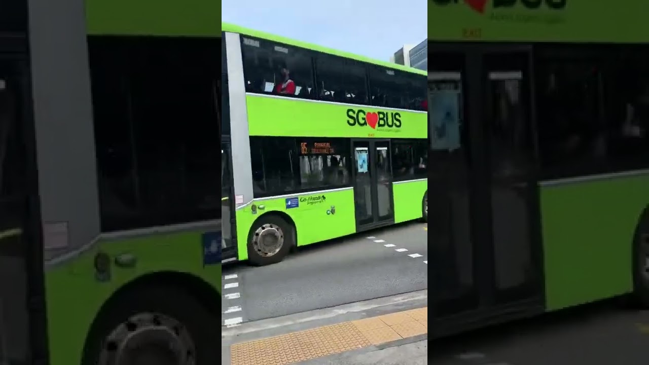 MAN DOUBLE DECKER! SG❤️BUS #shorts