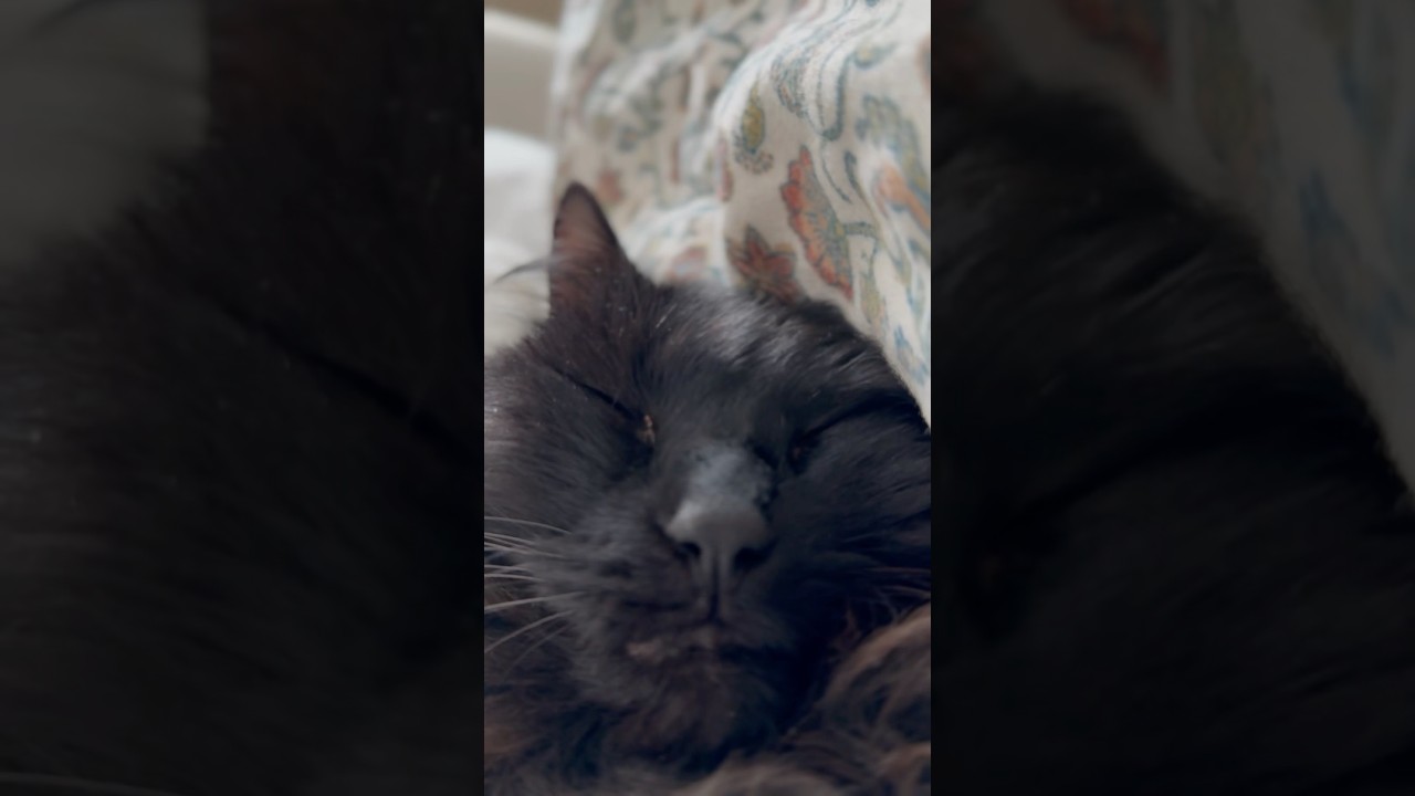 He always sleeps 