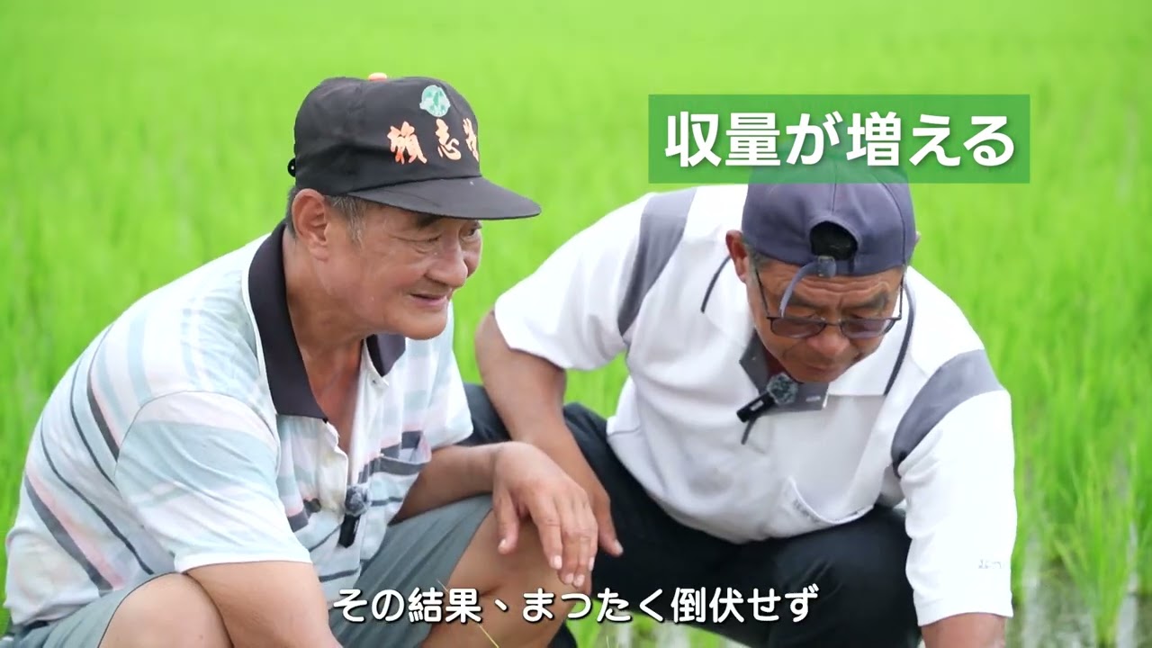 穀物作物応用: 水稲 ダイジェスト版動画