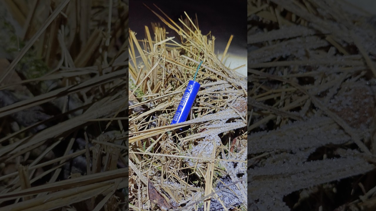 Big Bang 2G P1 #shorts #p1 #vuurwerk #feuerwerk #polenb&ouml;ller #banger #pyrokratia  #firecracker