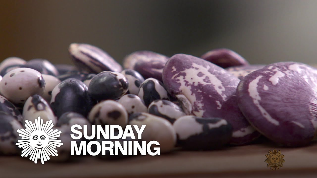 Heirloom beans, from Napa Valley to your mailbox