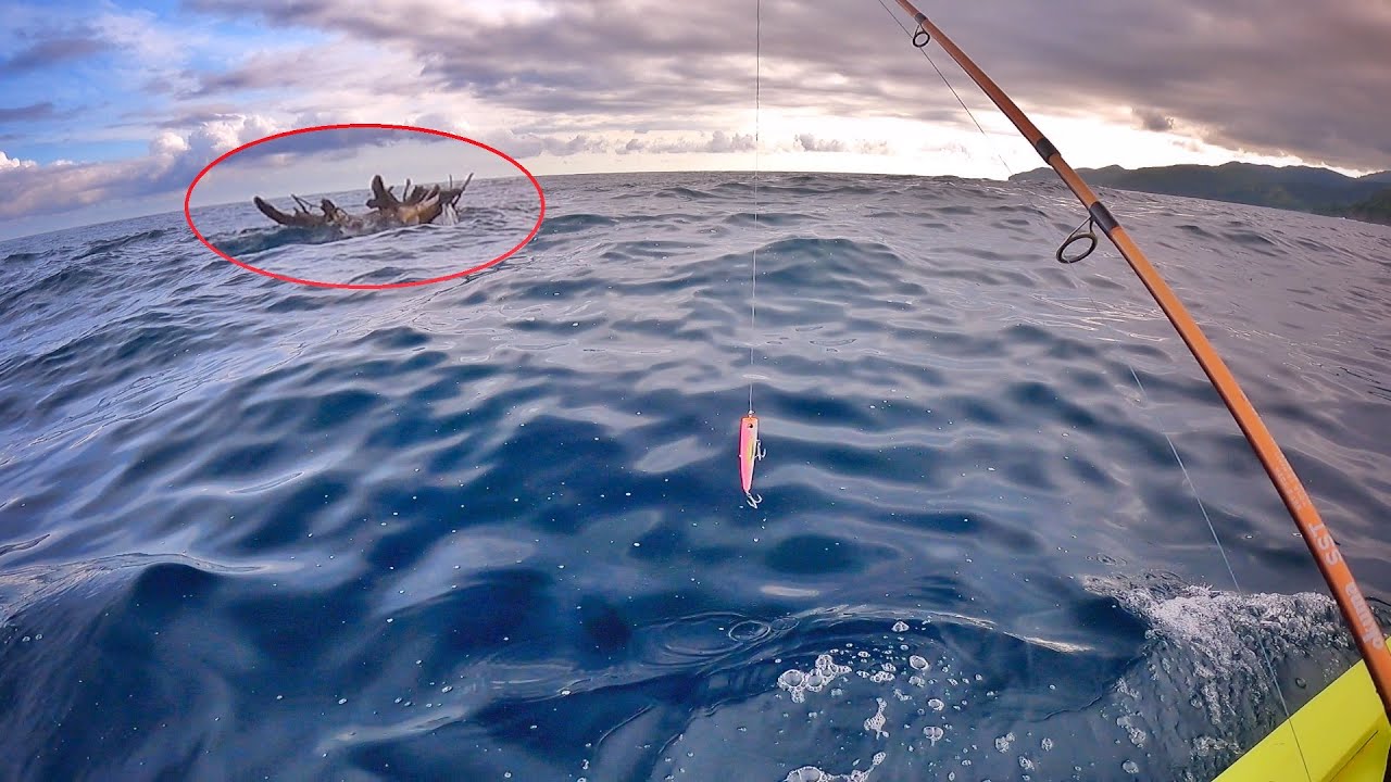 ATENÇÃO!!! NÃO ASSISTA ESSE VÍDEO SE VOCÊ TIVER PROBLEMAS CARDÍACOS... Pescaria.