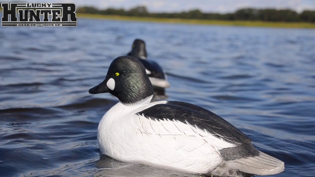 Golden Eye Decoy from GHG