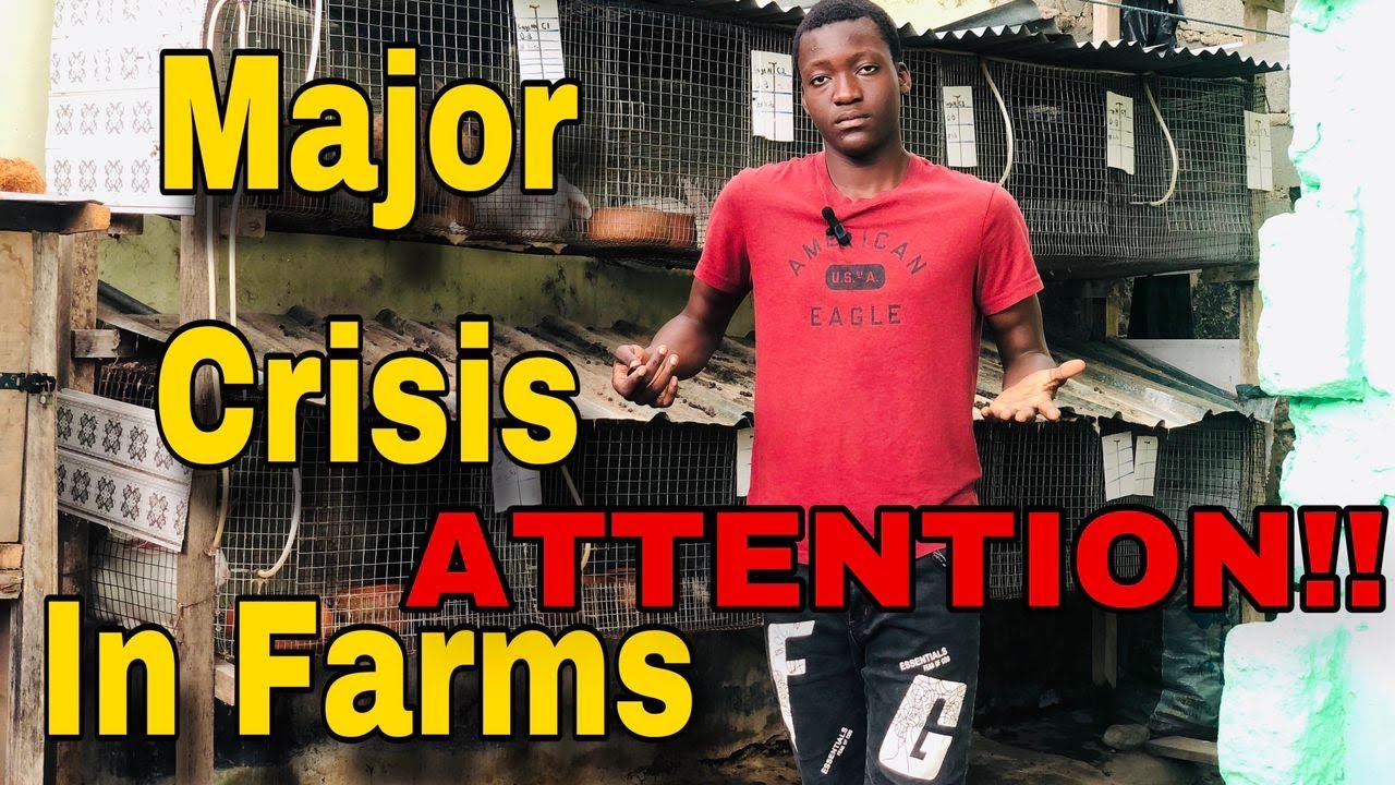 Farmers Alert: There Is A BIG PROBLEM