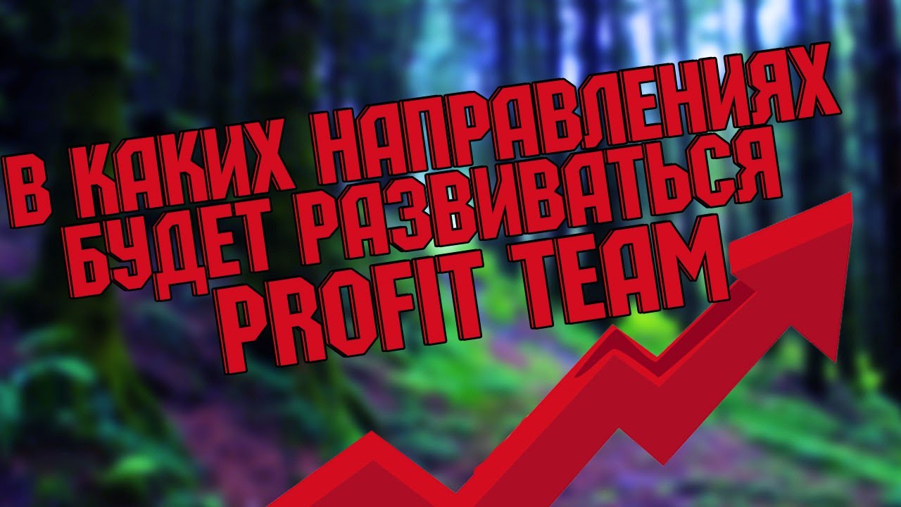 Направления в которых будет развиваться команда Profit Team