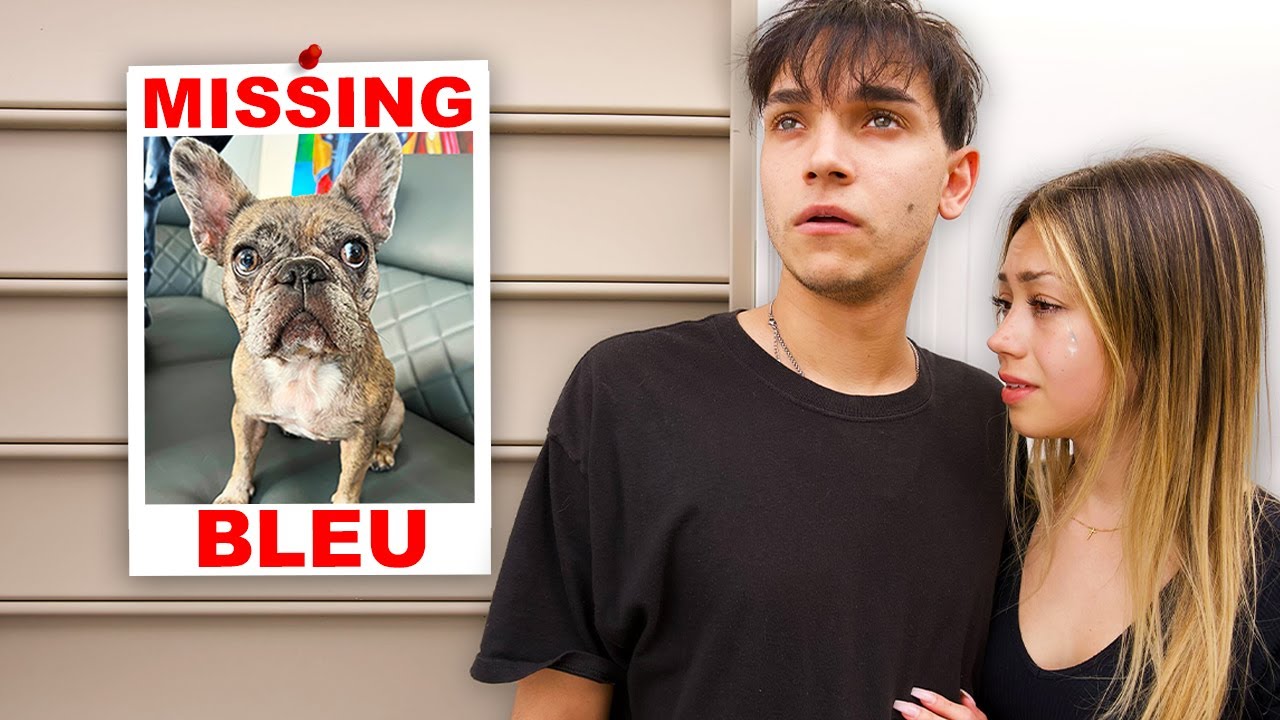 our dog is missing…