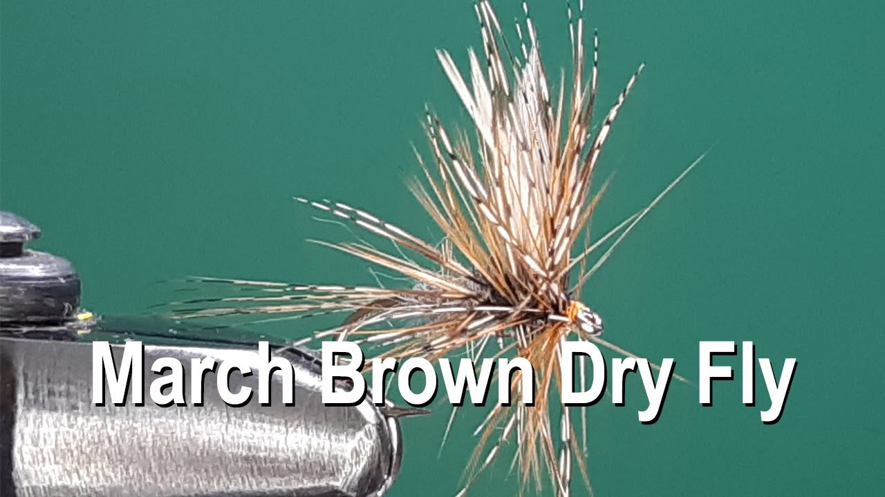 March Brown Dry Fly - One Fly A Day
