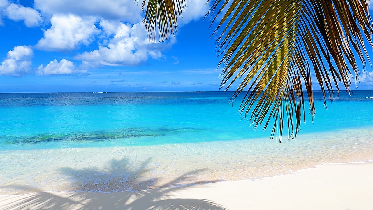 Tropical Day Dream: Chilling on The Best Beach in The Caribbean (4K)