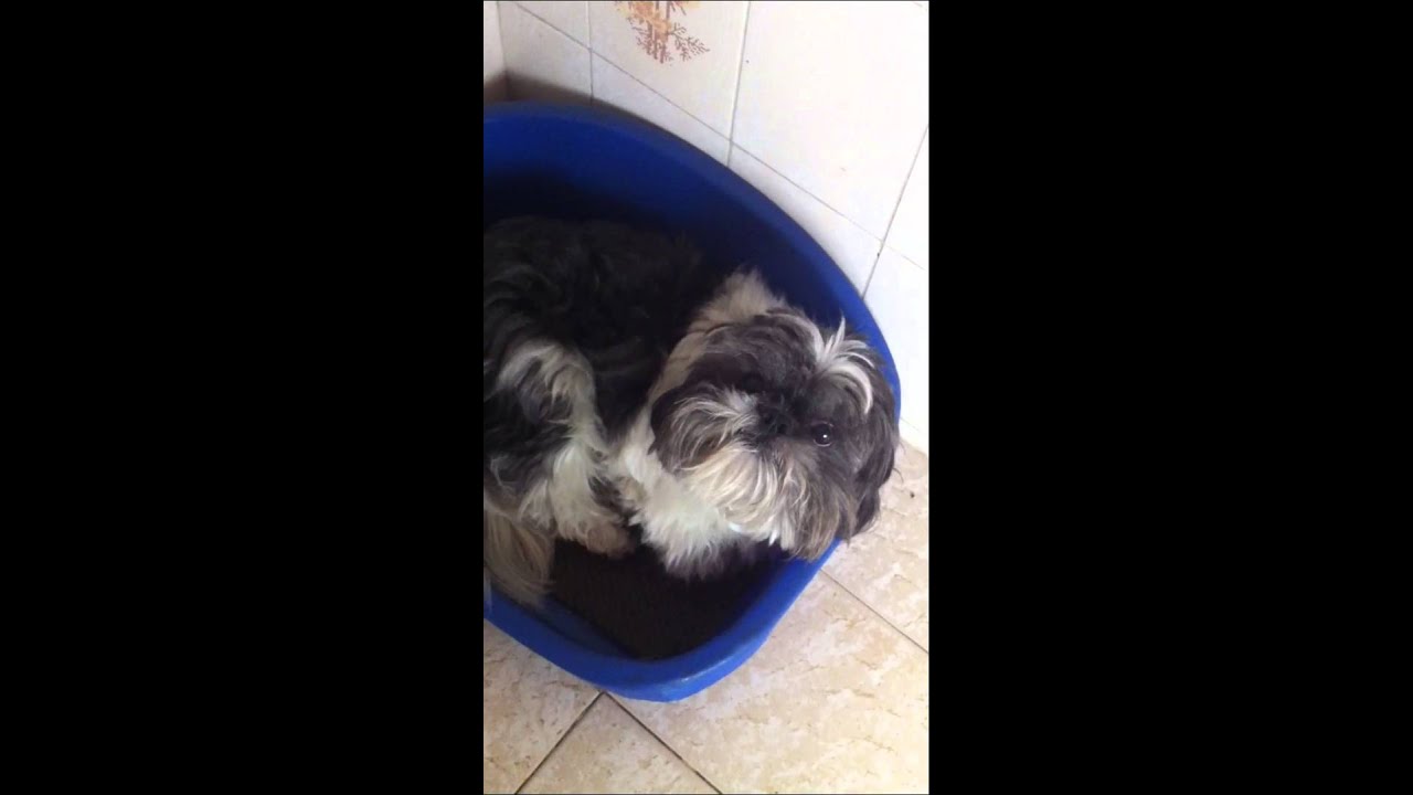Eros de castigo arrependido!