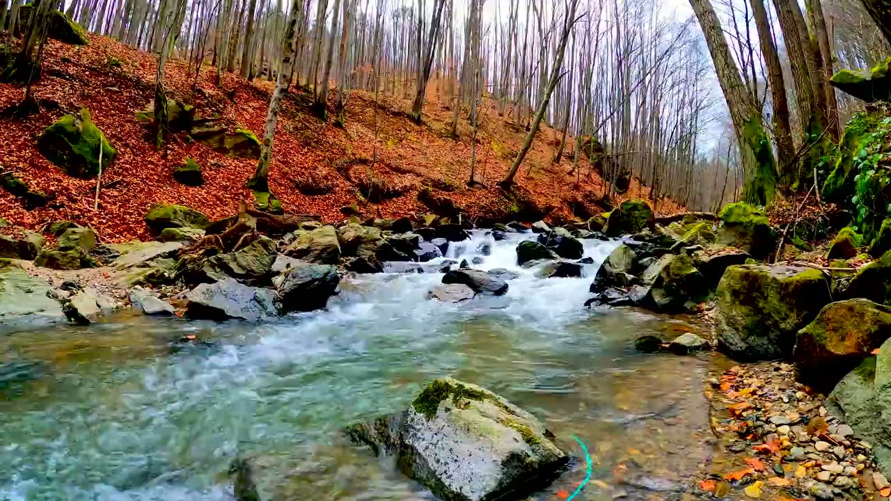 Calming Autumn River Sounds. Relaxing Forest Stream, Nature Video-10 Hours-White Noise for Sleeping.