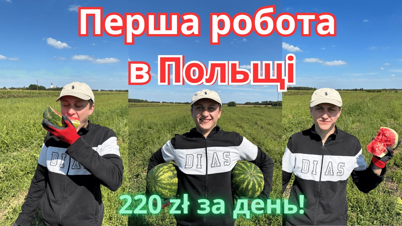 Робота в Польщі 2025: 220 zł за день на кавунах! 🍉 Мій перший досвід