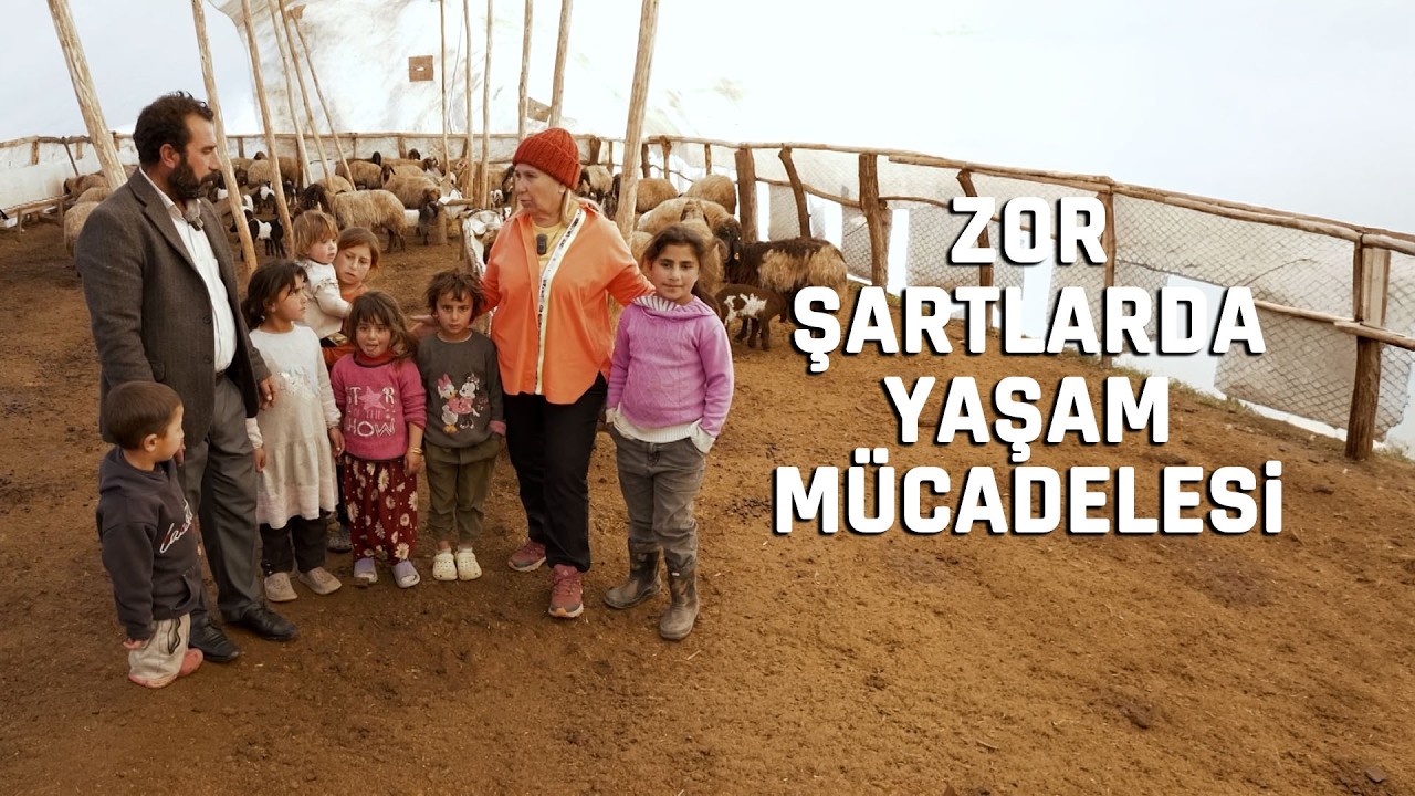 Zor Şartlarda Bir Yaşam Mücadelesi #belgesel #hayvancılık #batman