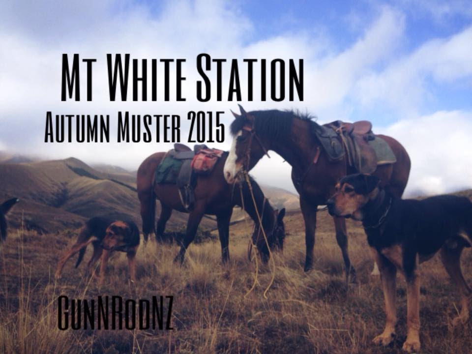 Mt White Station Autumn Muster 2015