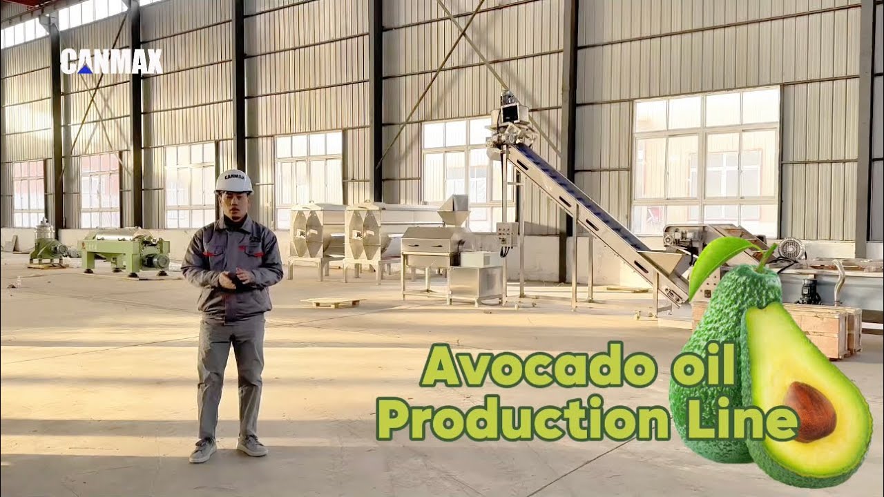 Avocado oil production plant | 4t/h | centrifuge technology | olive oil production line #avocadooil 