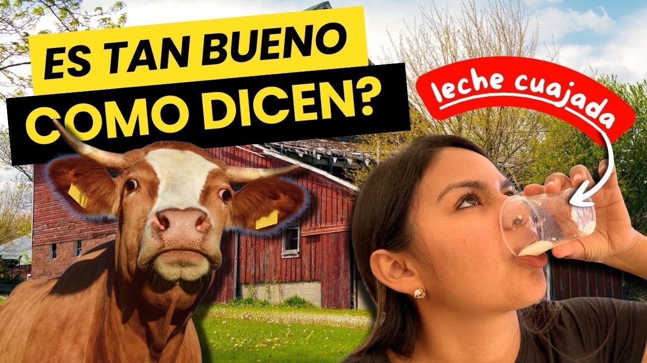 C&oacute;mo se hace el Queso Suizo y por qu&eacute; es el MEJOR DEL MUNDO? 🧀 🇨🇭