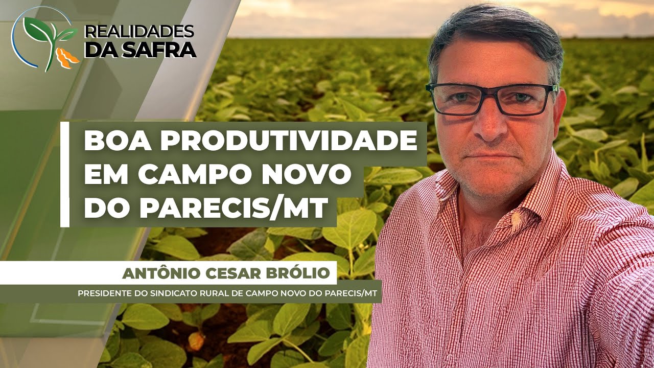 Com 20% da soja colhida, Campo Novo do Parecis/MT vem registrando boas produtividades