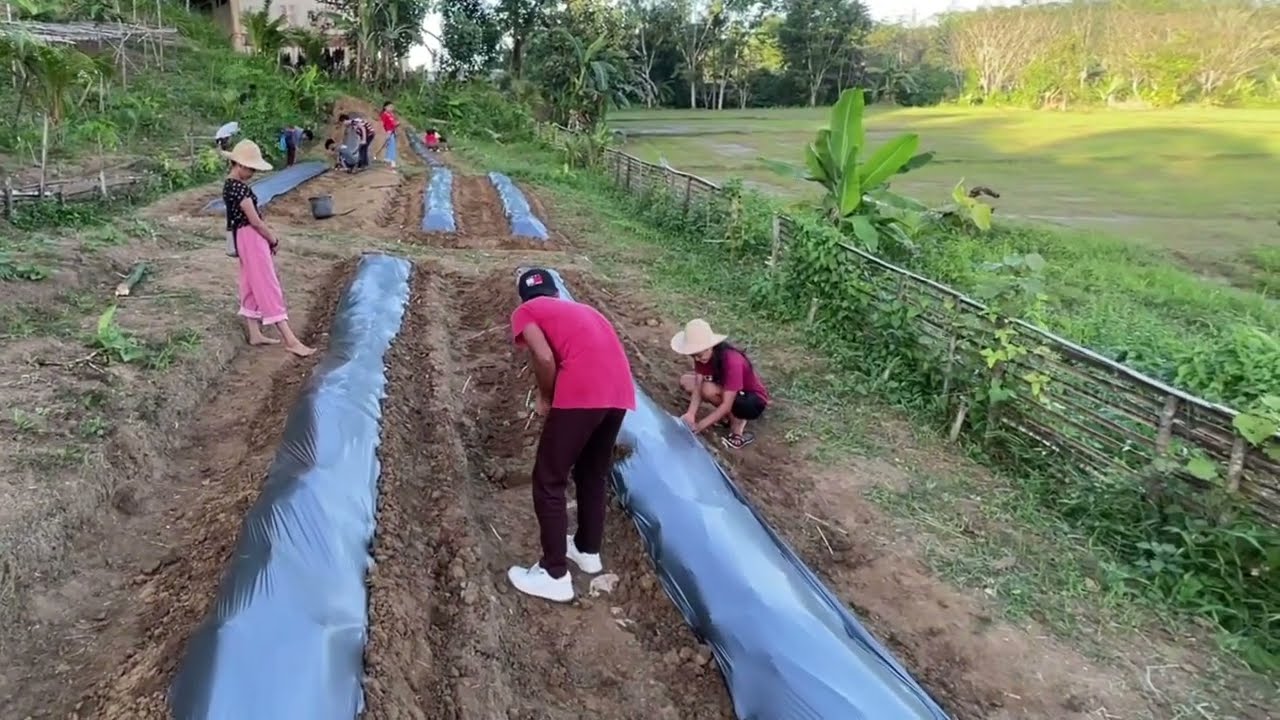 How to Install Plastic Mulch