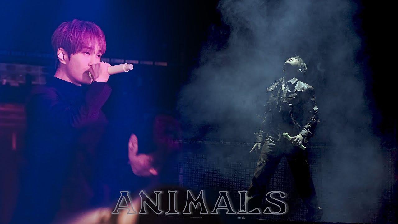 ANIMALS 교차편집  ONEW THE LIVE : PERCENT (%) ENCORE