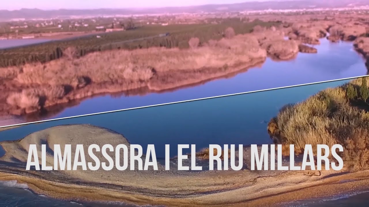 El Millars: Almassora i el riu Millars