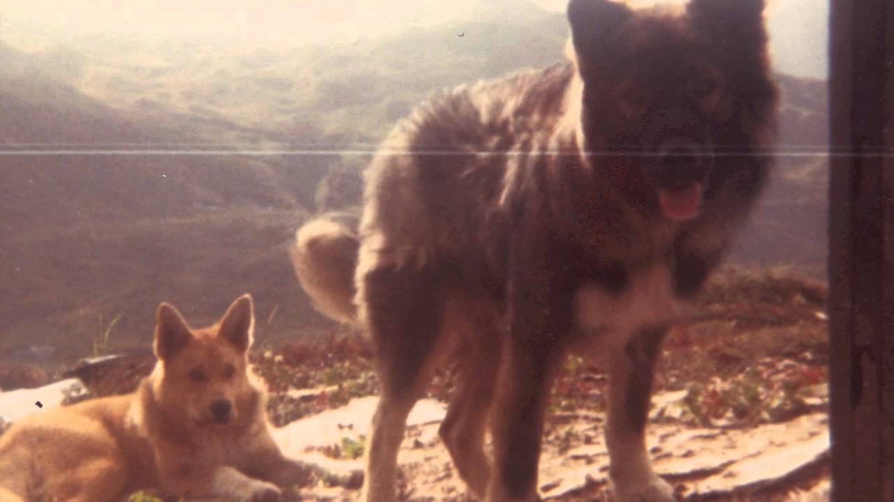 The Internet of Experiences:  Unalaska