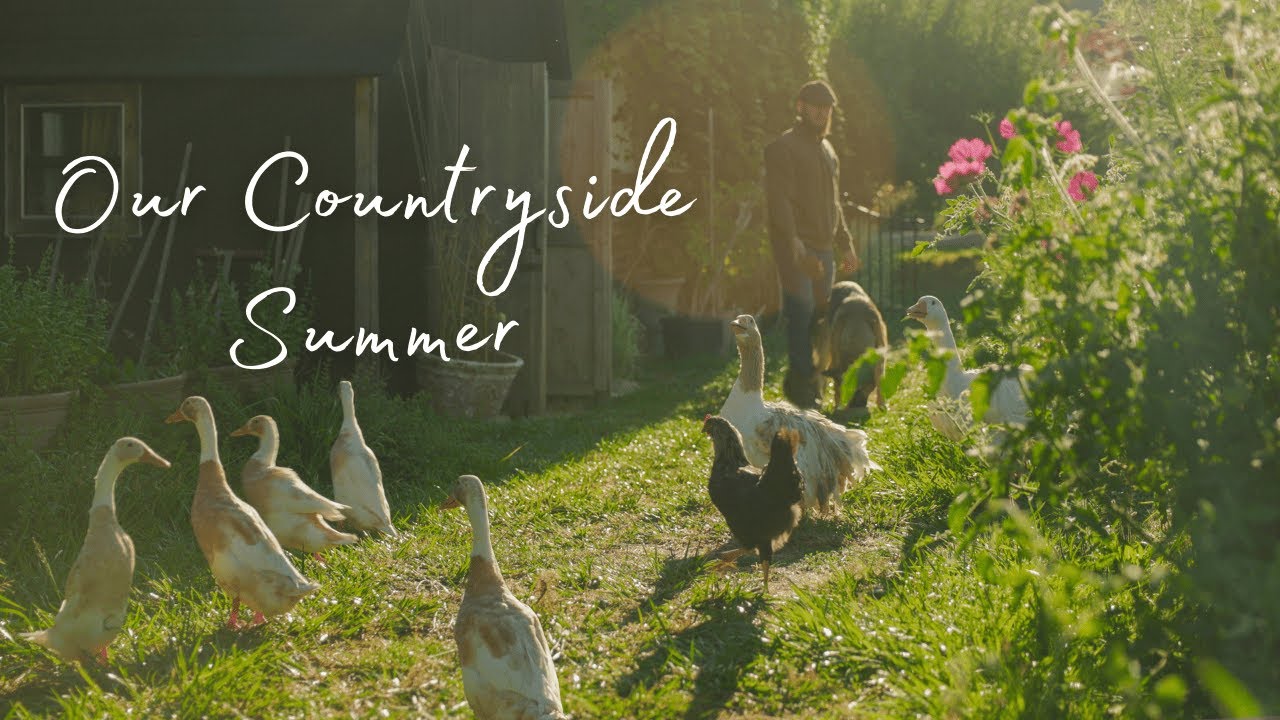 A Calm Summer Day on the Farm | Pergola Project & Lavender Harvest
