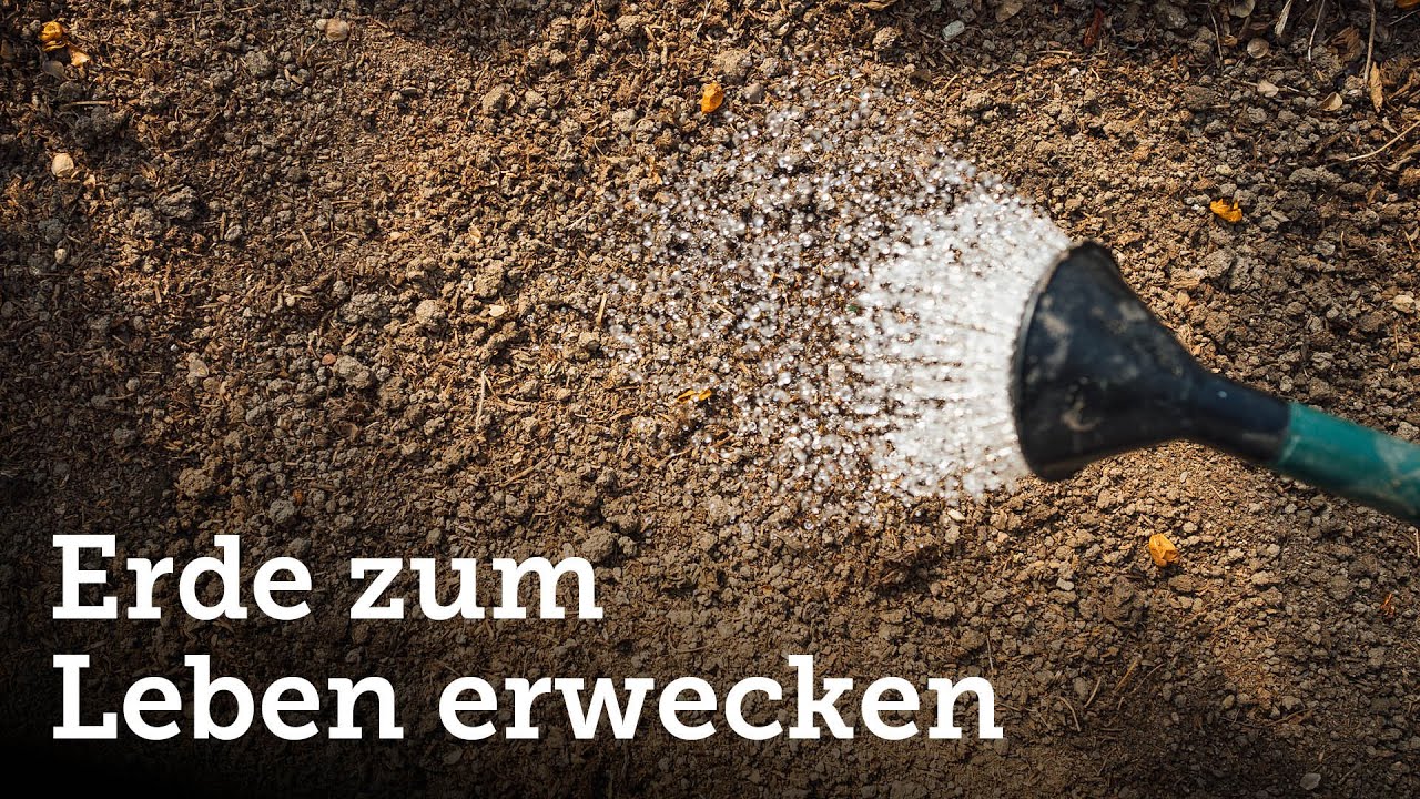 Staubtrockene Erde wieder fit machen f&uuml;rs Pflanzen und Ans&auml;en!