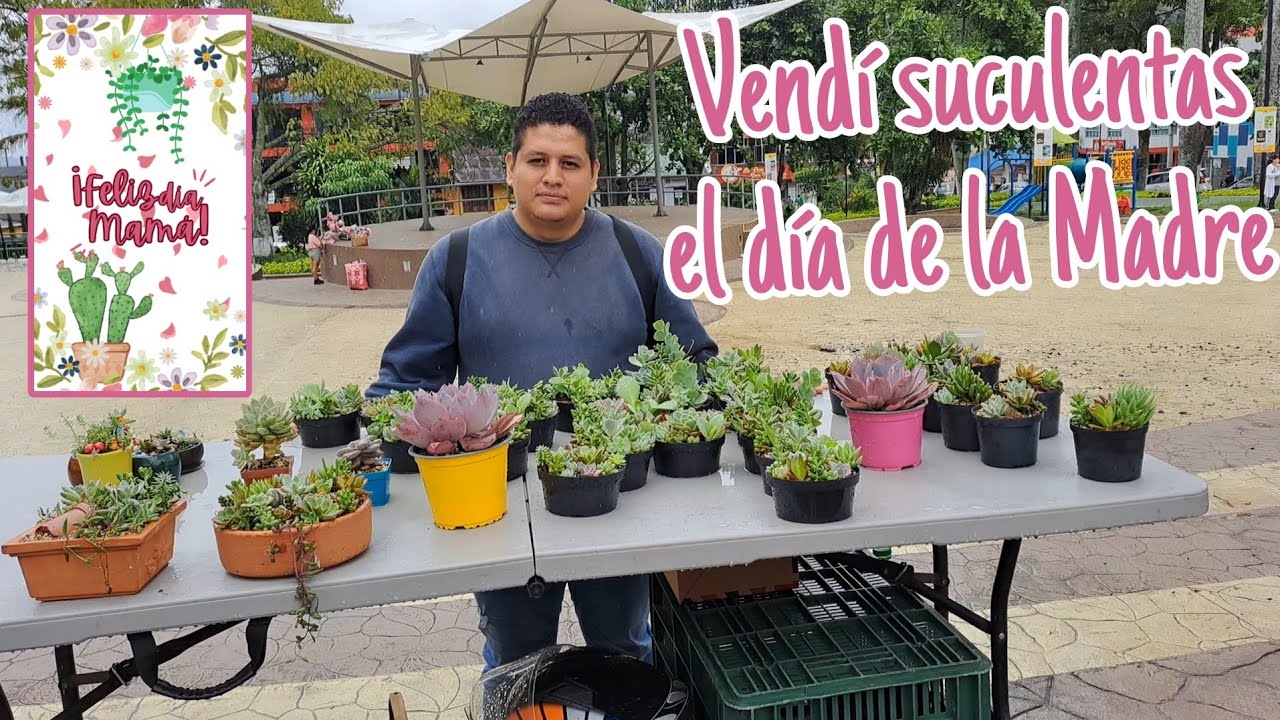 Salí al pueblo a vender suculentas y pasó esto...
