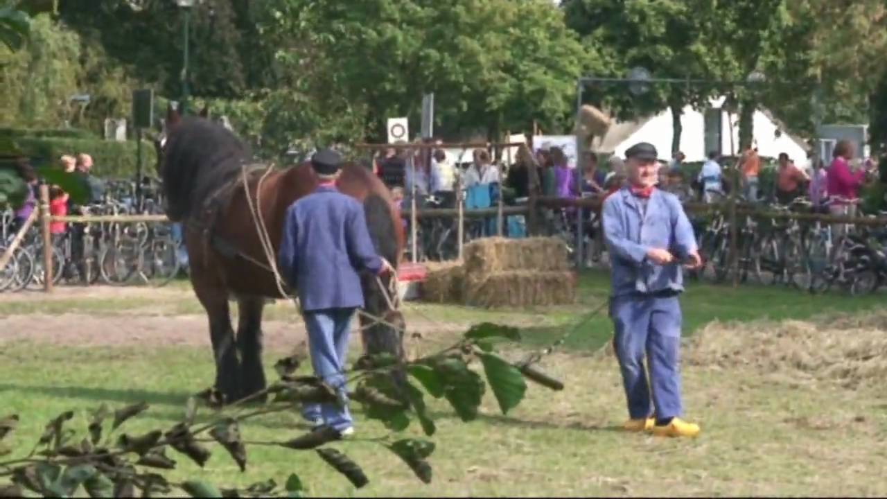 dag van het werkpaard BLARICUM 2009