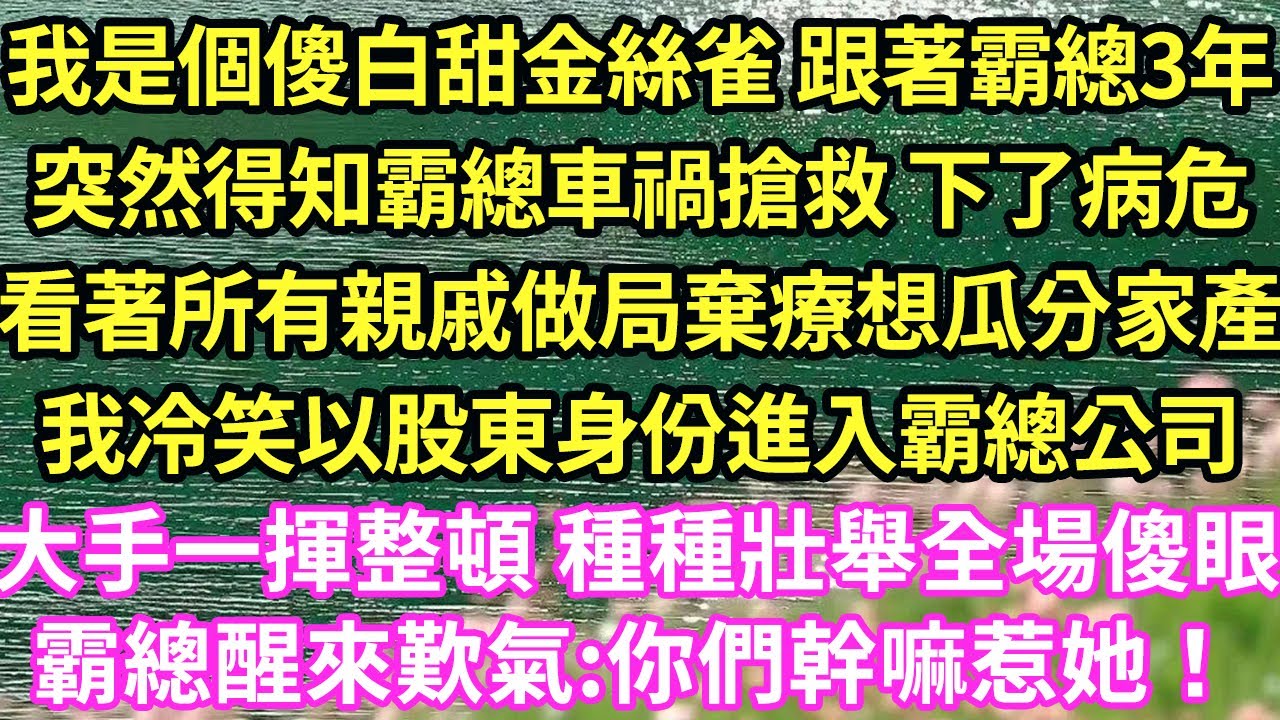 我是個傻白甜金絲雀 跟著霸總3年，突然得知霸總車禍搶救 下了病危，看著所有親戚做局棄療想瓜分家產，我冷笑以股東身份進入霸總公司，大手一揮整頓 種種壯舉全場傻眼！霸總醒來歎氣:你們幹嘛惹她！#甜寵#小說