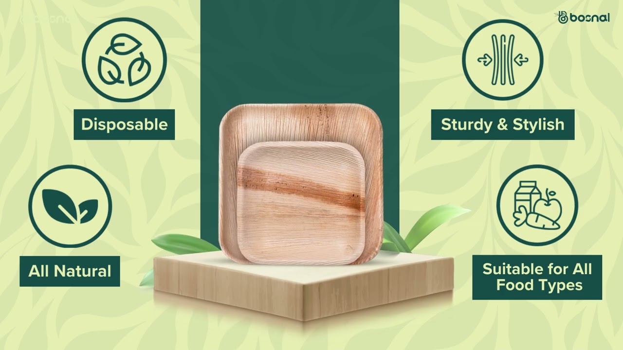 Eco-Friendly Palm Leaf Square Plates Combo|10-Inch & 7-Inch |Pack of 50 |Biodegradable & Compostable