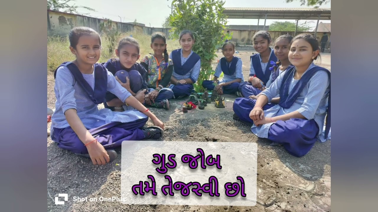  આનંદદાયી શનિવાર (Bagless day)