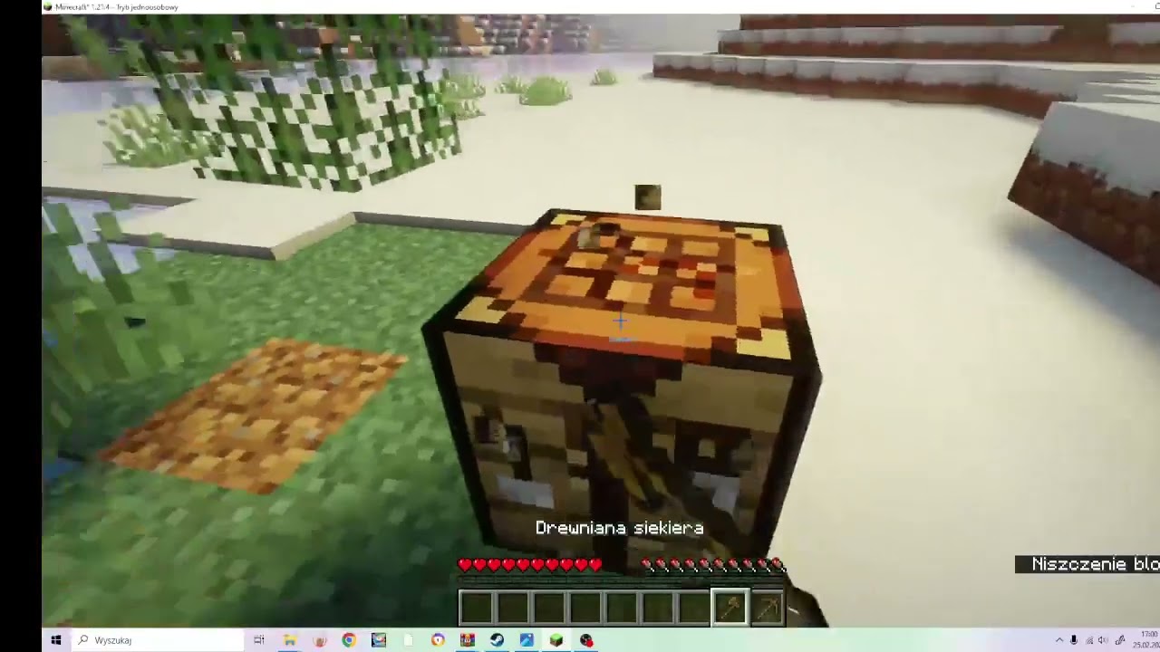 ja widzący lód w minecraft