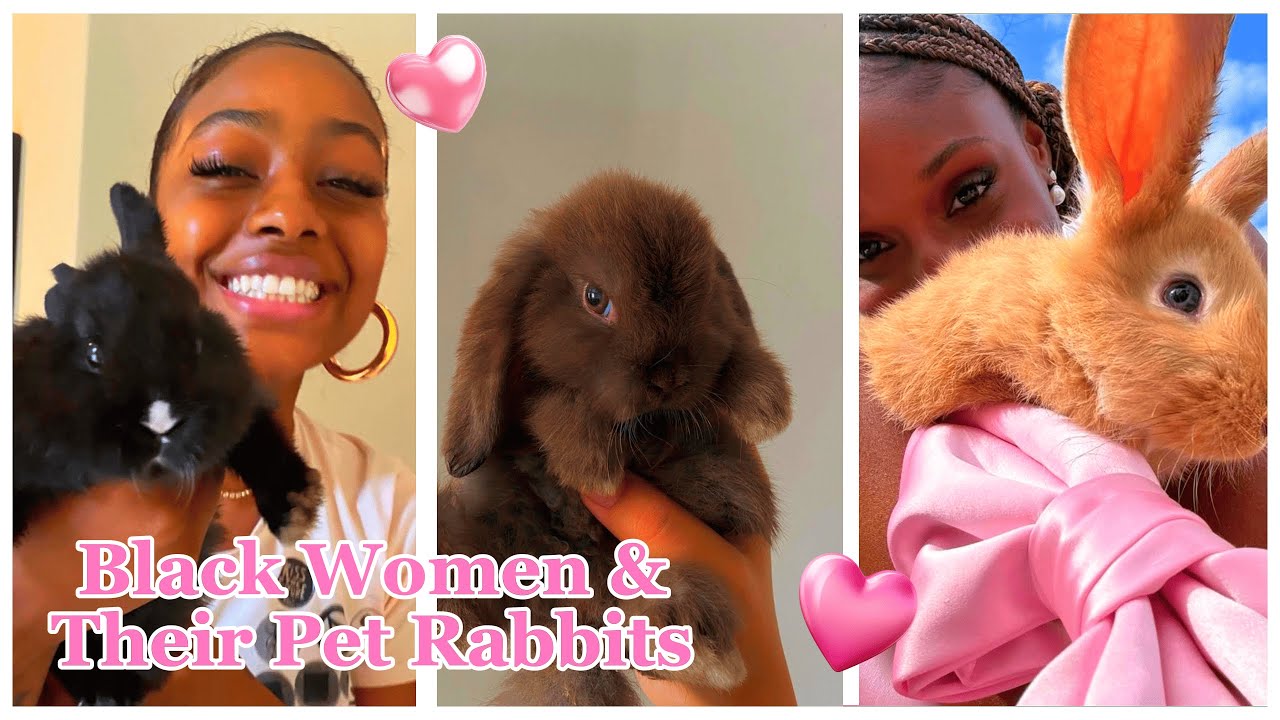 Black Women & Their Rabbits #15 | Funny TikTok Compilation 2026 #bunny #rabbit #pets