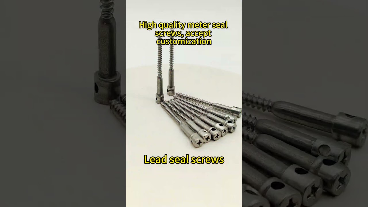 stainless steel selftapping screw meter sealing screw manufacturer