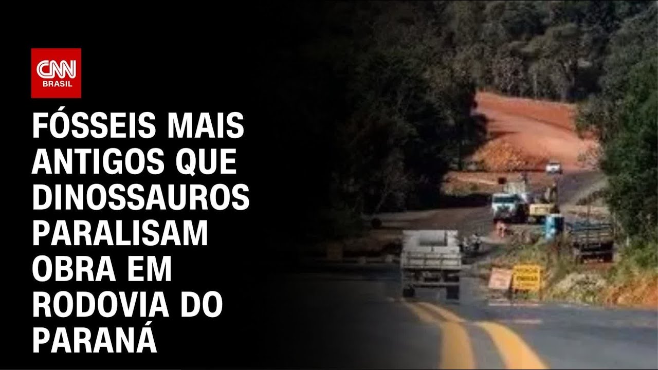 PR: Obra em rodovia &eacute; interditada por f&oacute;sseis mais antigos que dinossauros | CNN NOVO DIA