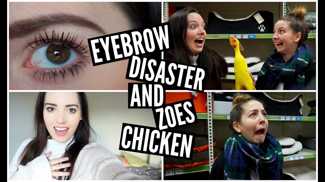 Eyebrow Disaster And Zoes Chicken! (WHUT)