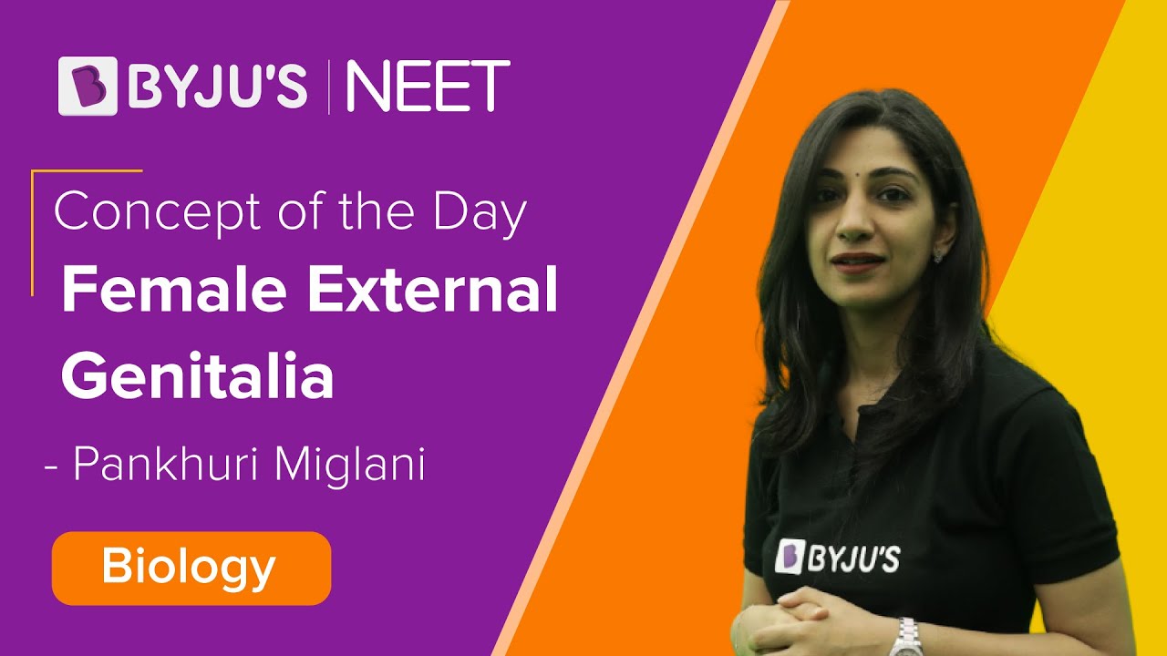 Human Reproduction Class 12 Biology: Female External Genitalia (Ch-3) | NEET 2022 Exam  Preparations