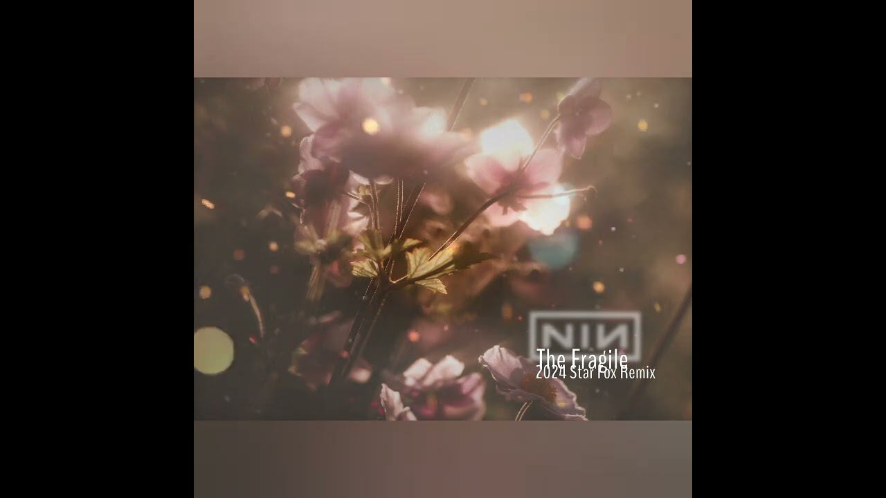 Nine Inch Nails - The Fragile (2024 STAR FOX REMIX)
