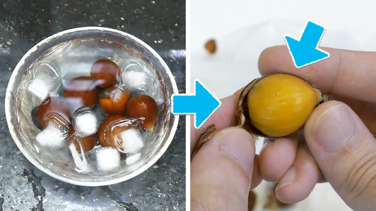 栗子殼很難剝，怎麼辦？6個剝栗子皮的方法，剝出完整栗子殼，輕鬆又快速！