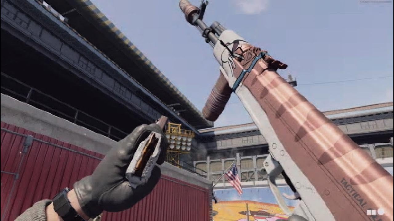 Call of Duty Black Ops Cold War/Warzone AK-47 Cat Nip Showcase (All Mastery Camos)